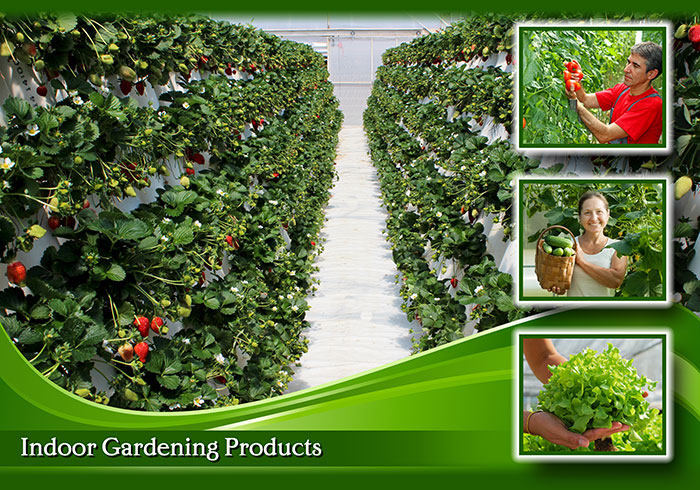 Indoor Gardeners