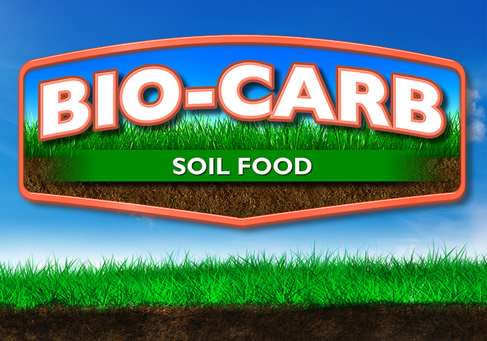 Bio Carb Landing