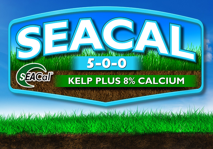 Sea Cal Landing